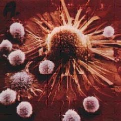 Cancer_immunesystem